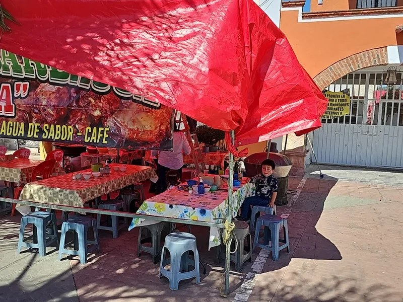Pollos en Barbacoa "Rocha"