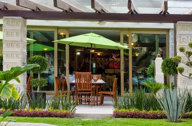 Los 28 restaurantes pet friendly de Teotihuacan