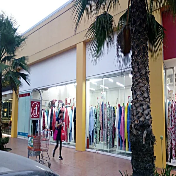 PARISINA OJO DE AGUA