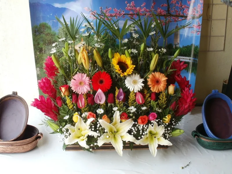 Florería San Martín