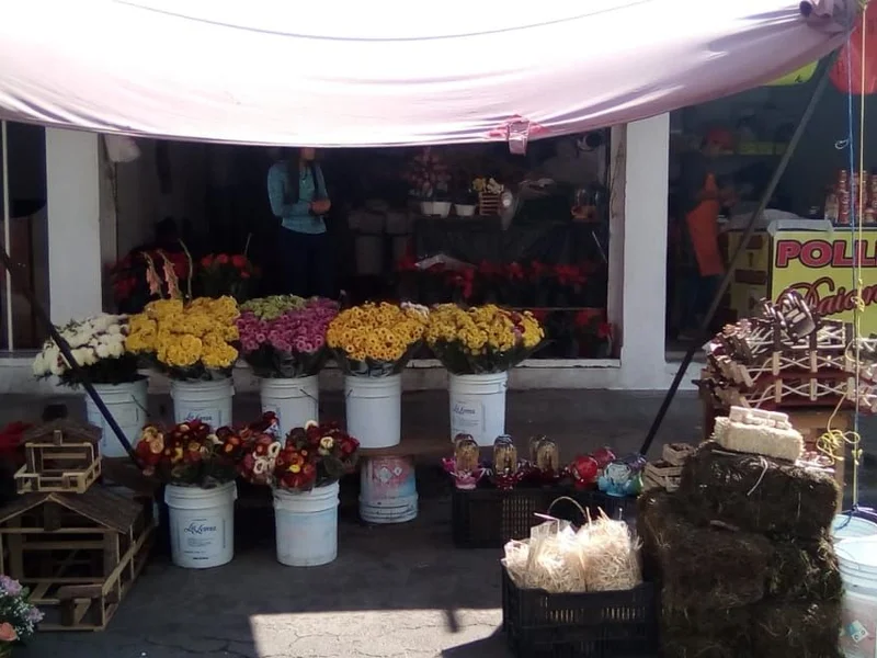 Floreria TEXCOCO