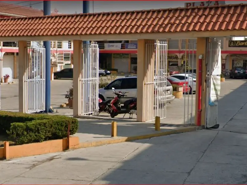 Floreria Carmin Boutique