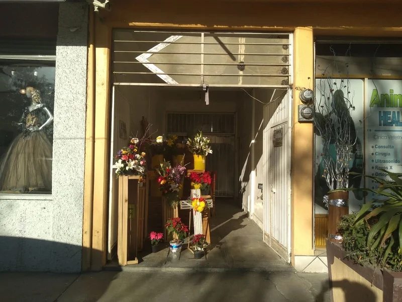 Florería. Floristeria aymee