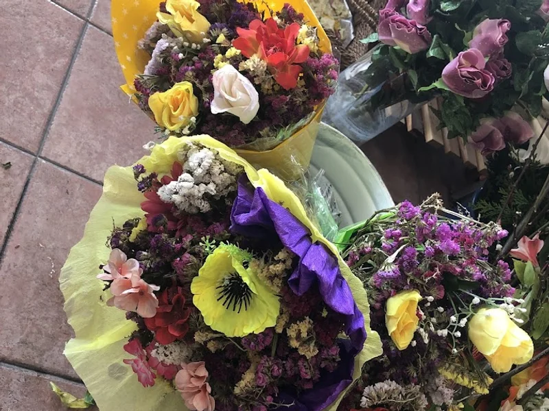 Floreria y Regalos Olvera