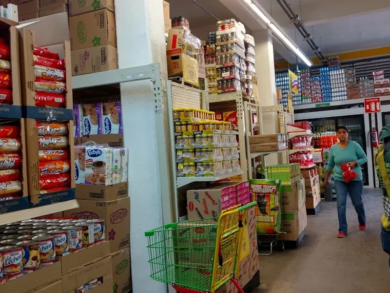 Bodega Aurrera Express, Tecámac Centro