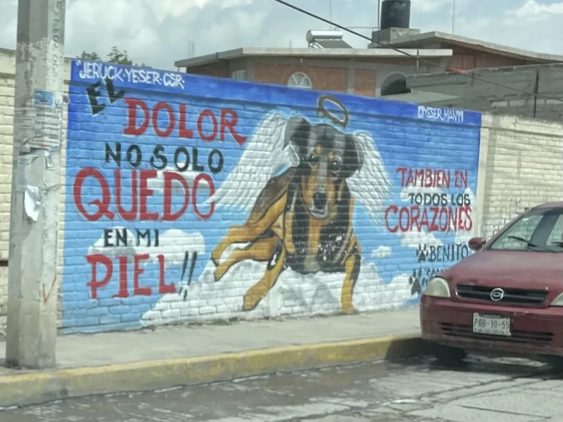 Carnicería Allisson