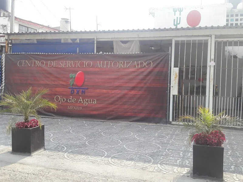 Dxn Ojo de Agua