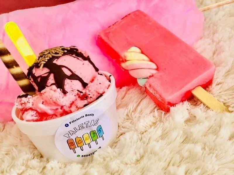 Paletas Bonis
