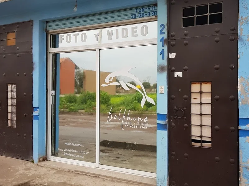 Foto y Video Dolphins