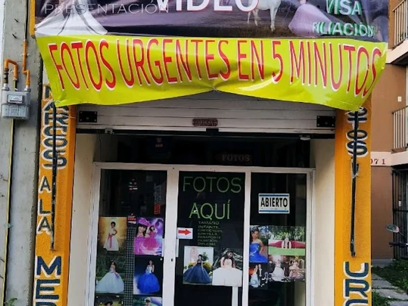 Foto Estudio Bosques