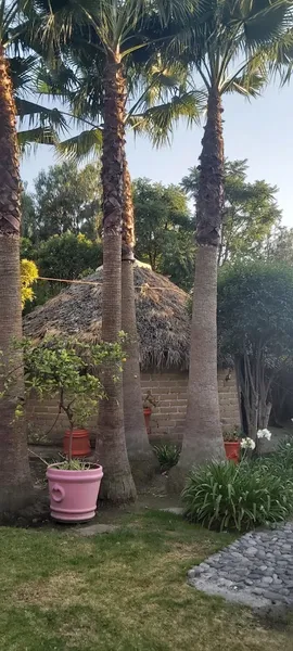 Centro de Sanación y Temazcal Tlaxinca