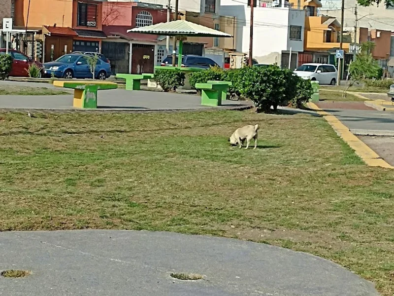 Parque del sector 42 “Felipe Villanueva”