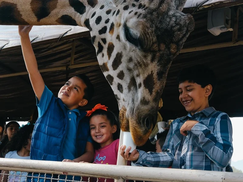 Reino Animal Centro de Conservación Teotihuacan