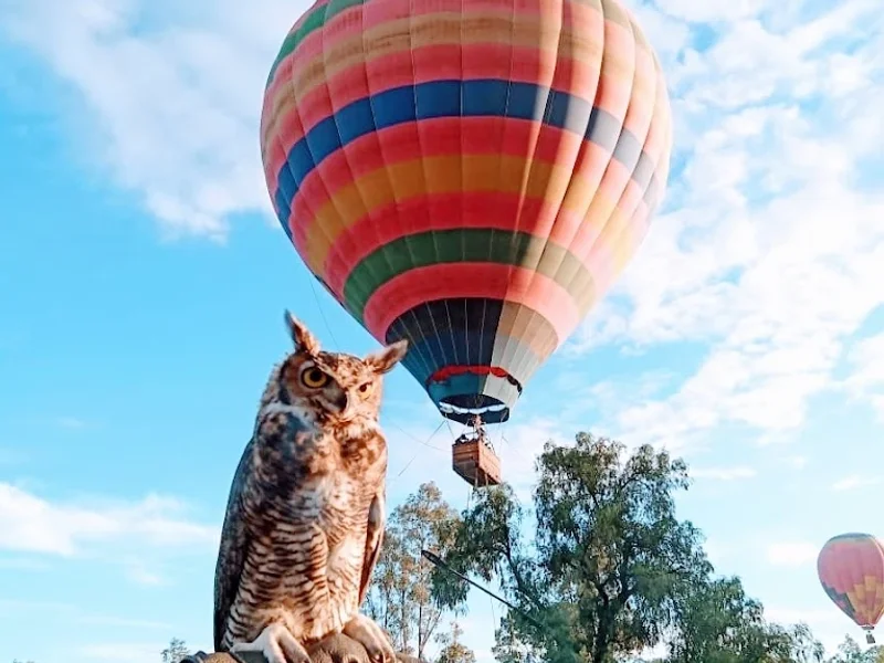 Aventura Ancestral Teotihuacan