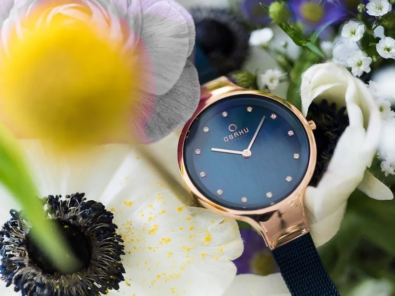 Watch2Go.mx Paseo Ventura