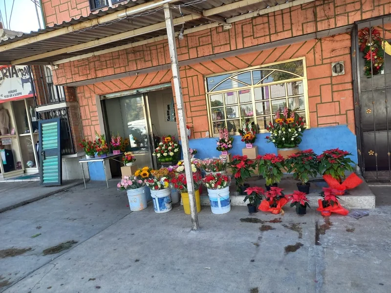 Florería Yos sorpresas con amor