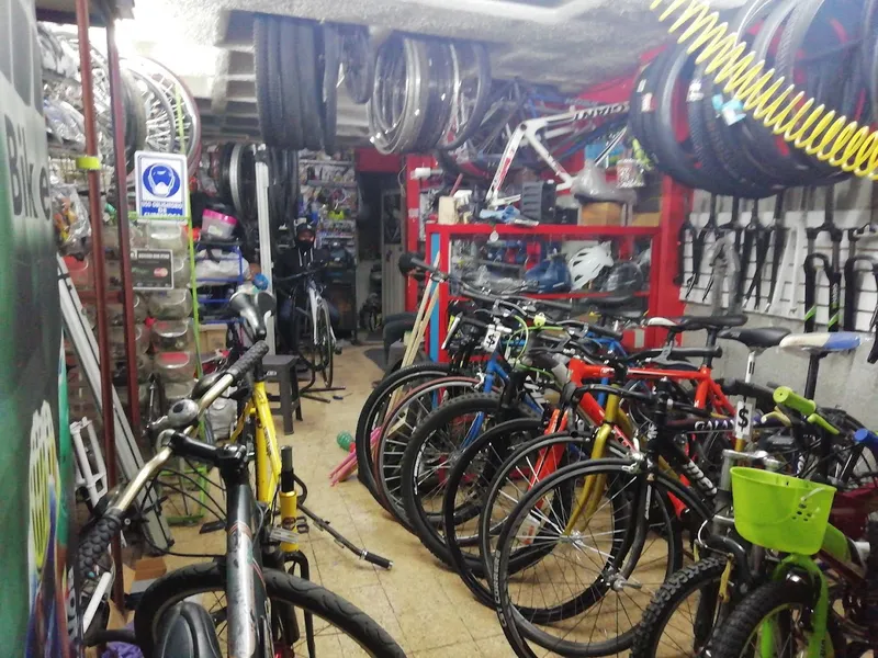 Bicicosis Bike Store