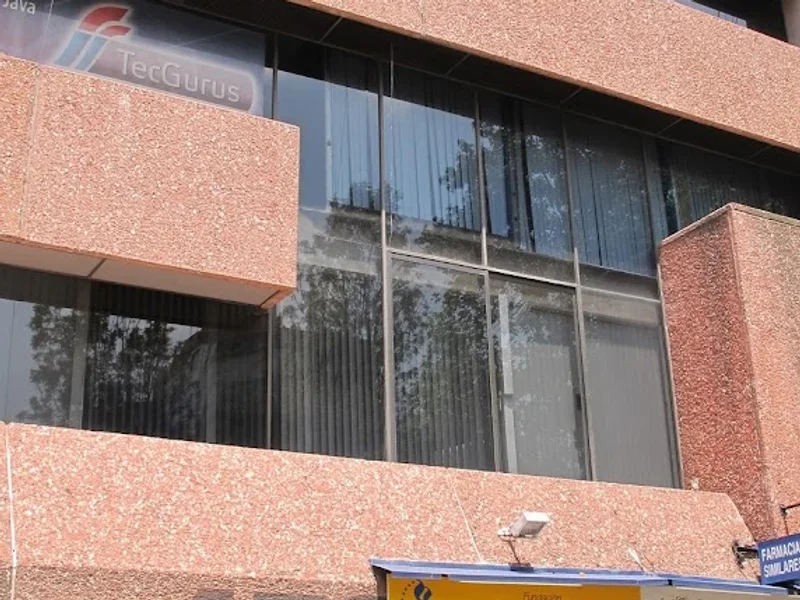 Guadalupe Blanco Novias