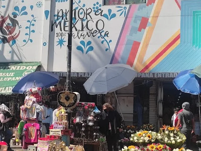 MERCADO DE ARTESANIAS LA VILLITA