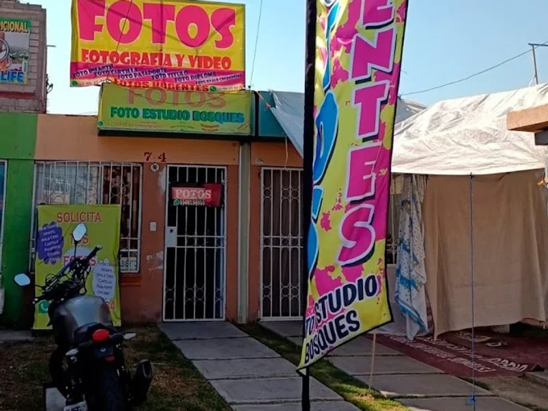 Foto Estudio Jardines