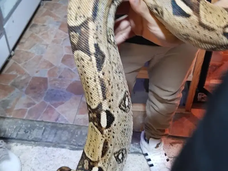 Mercado de Peces Mixhuca