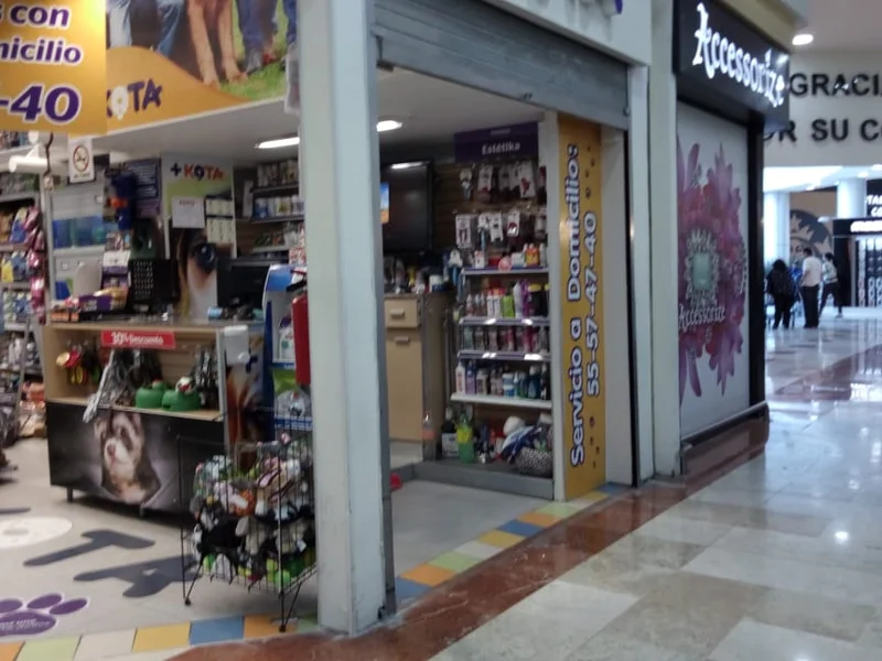 +Kota Chedraui Polanco