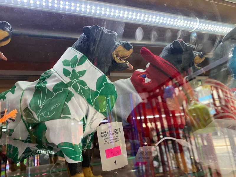 Accesorios Para Mascotas