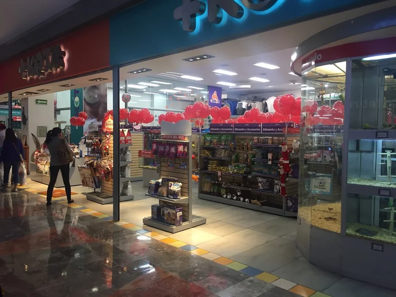 +Kota Centro Santa Fe