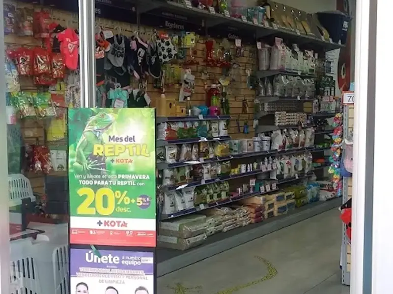 +Kota Patio Ecatepec