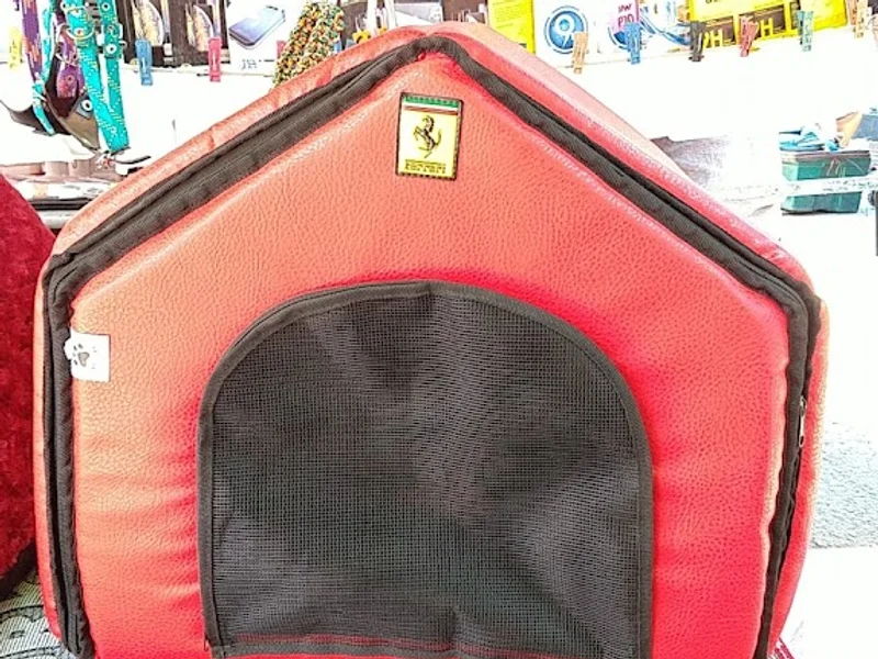 Gold Friend todo para tu mascota