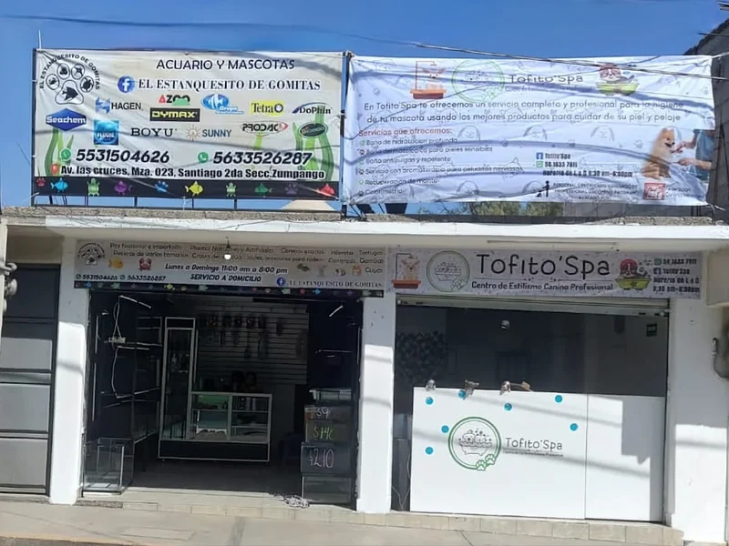 El estanquesito de gomitas