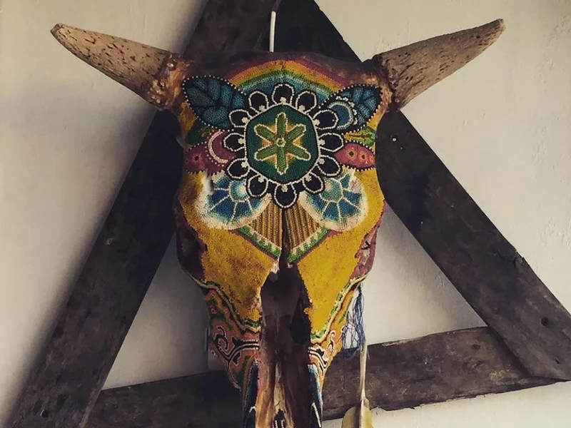 ZUmascota / Hospital Veterinario & Eestética Canina