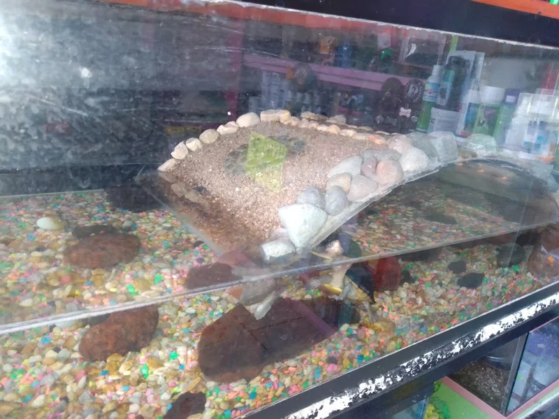 Clínica veterinaria, acuario, tienda de mascotas y accesorios para mascotas Animal's Love