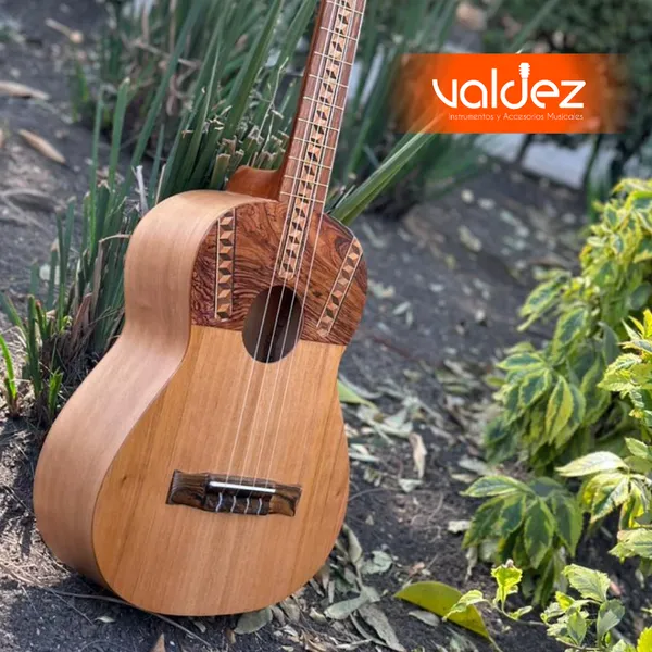 Guitarras Valdez