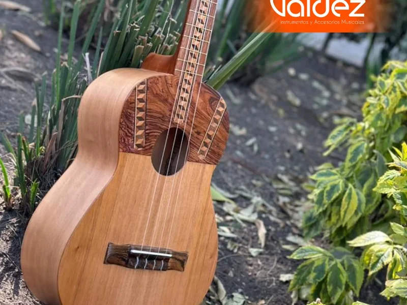 Guitarras Valdez