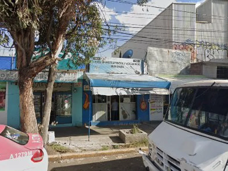 Instrumentos musicales aragon musical