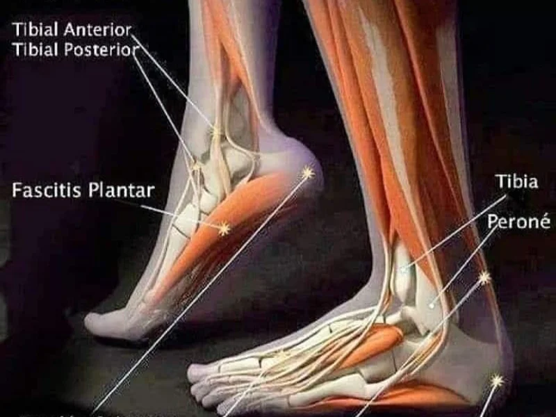 PODOLOGIA CLINICA LUME