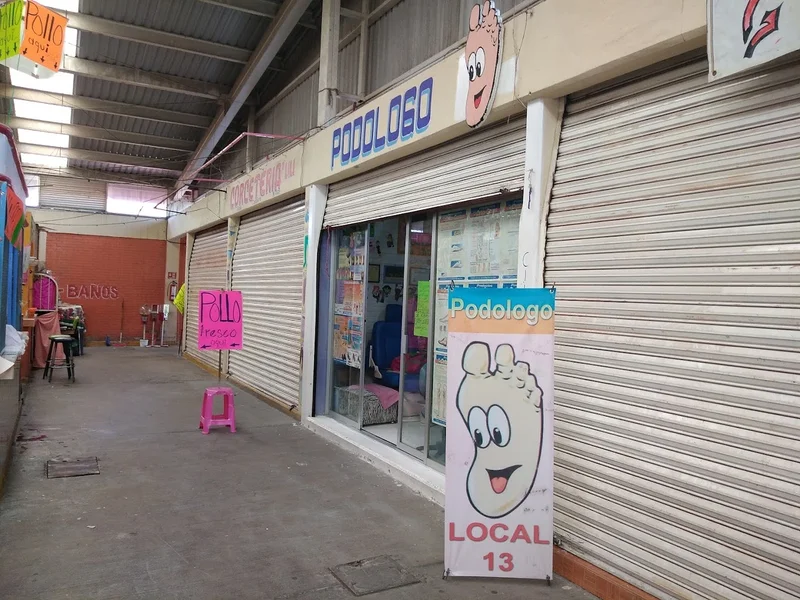 Orto-Gama Podología