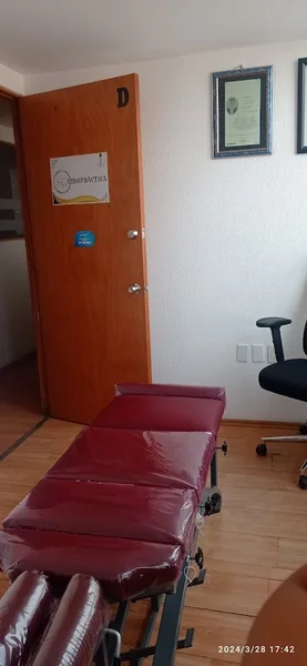 Quiropráctica, Su Quiro