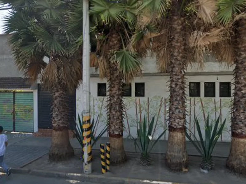 Dorsum Quiropráctica