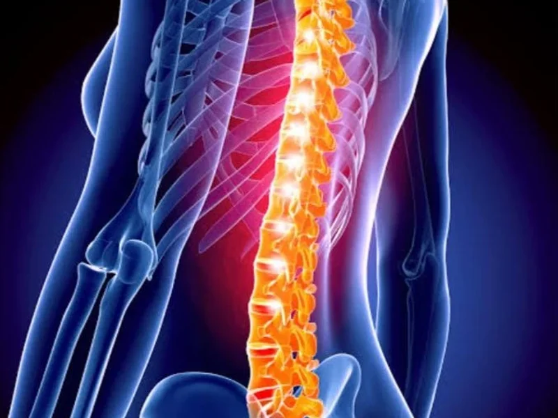 Quiropráctico Mexinca Ancestral Muzquiz