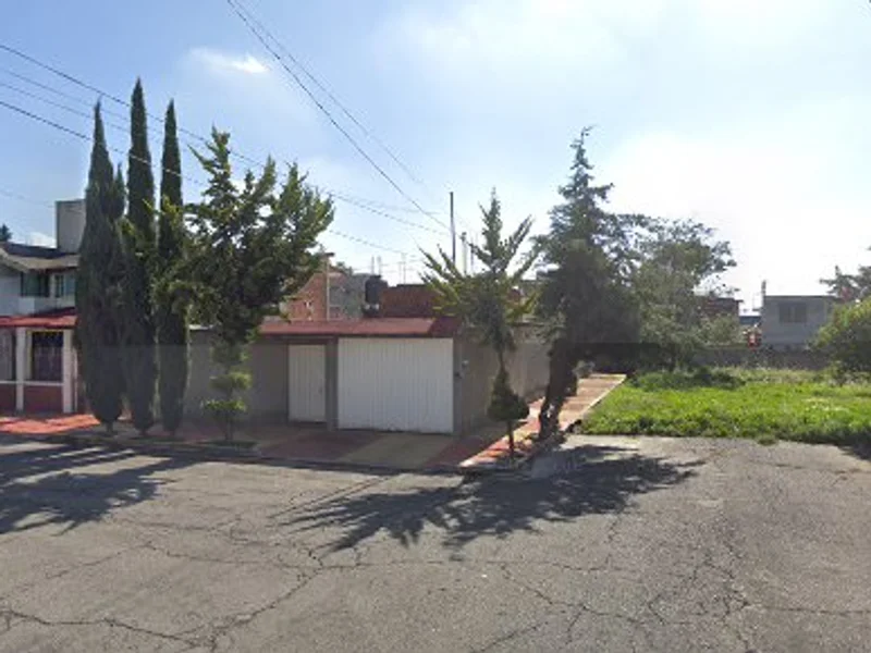 CURA HUESOS EL CHILE VERDE