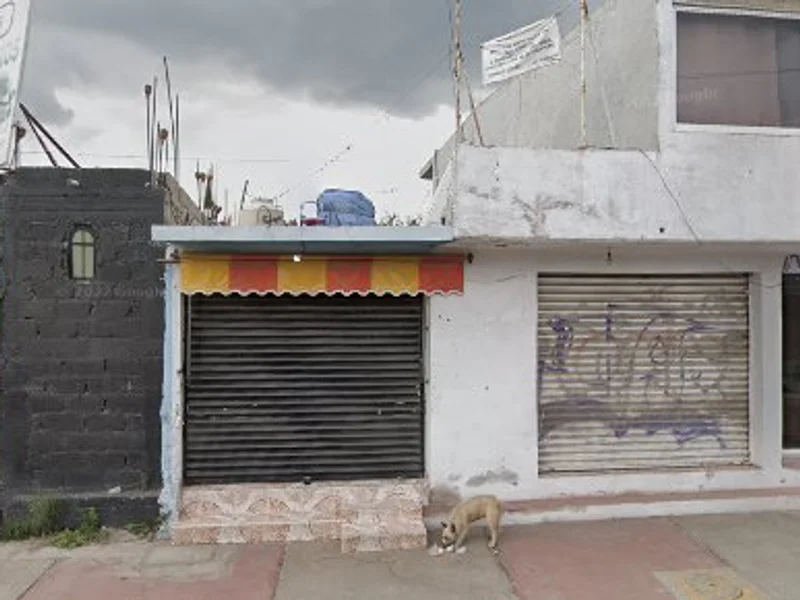 Quiropractico Luis Palmero