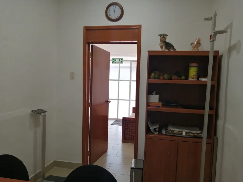 Nutrióloga Clínica Liliana Ortiz (Metztli "Nutricion Para La Vida")