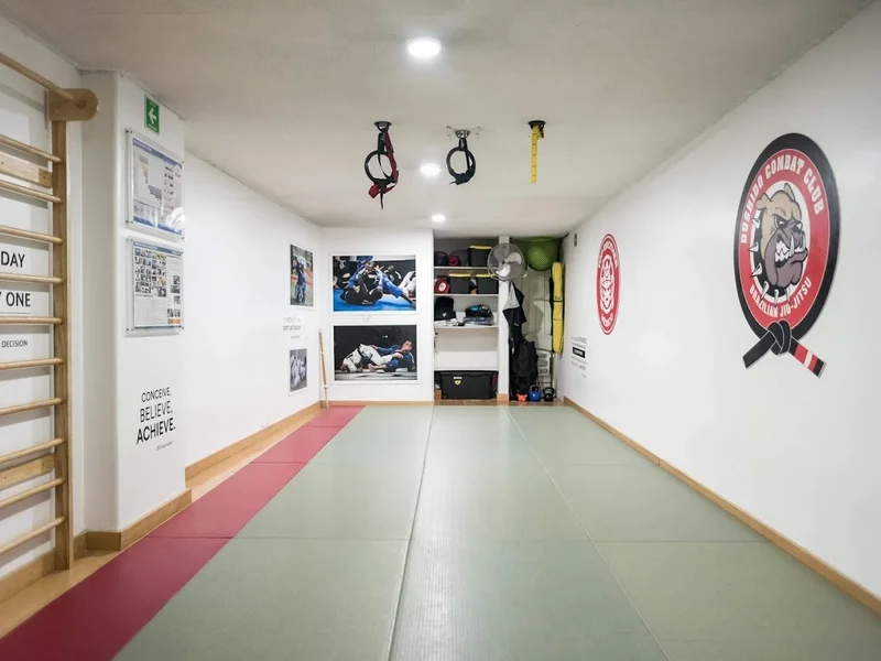 Academia Top Brother Mexico