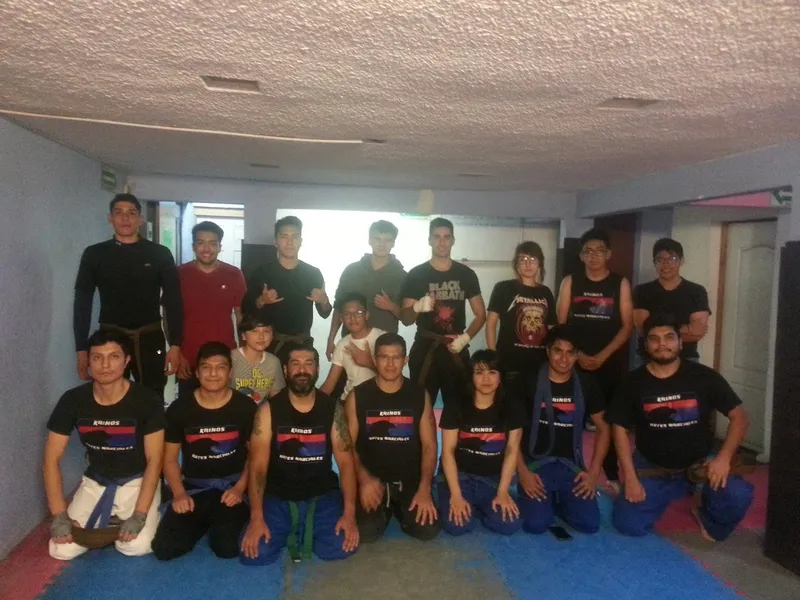 Academia Kainos Artes Marciales Mixtas - MMA