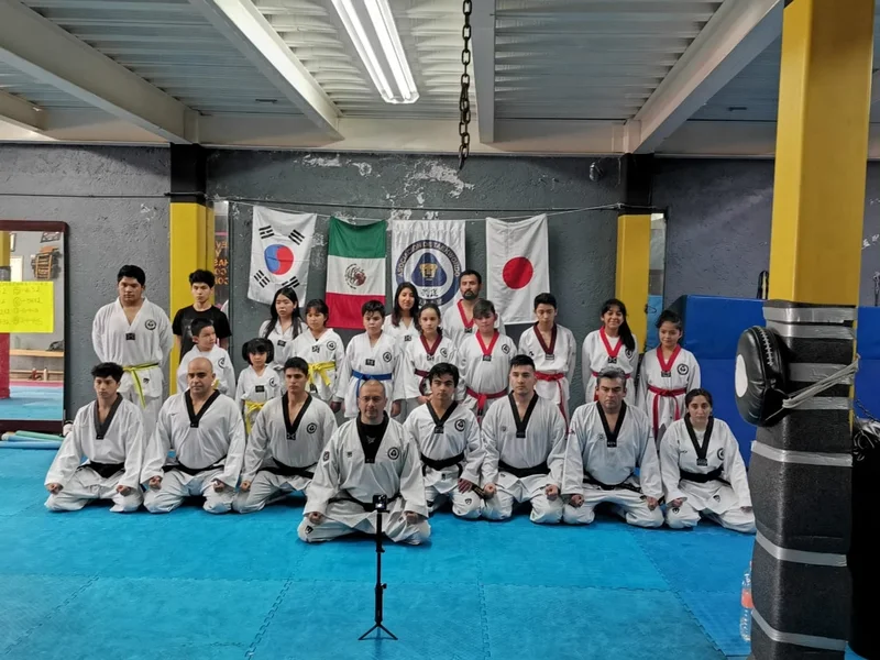 Team PUMMA Martial Arts. MMA y Taekwondo