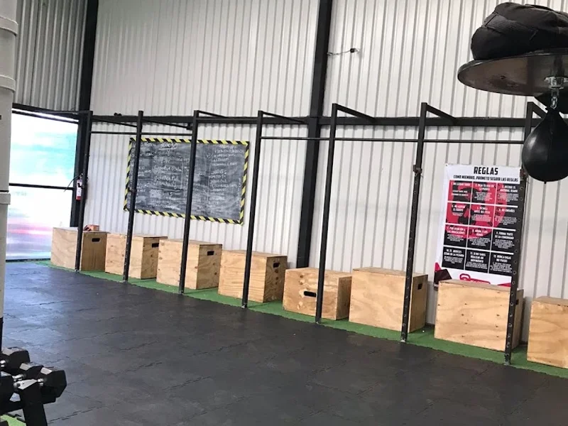 Real Fighters México