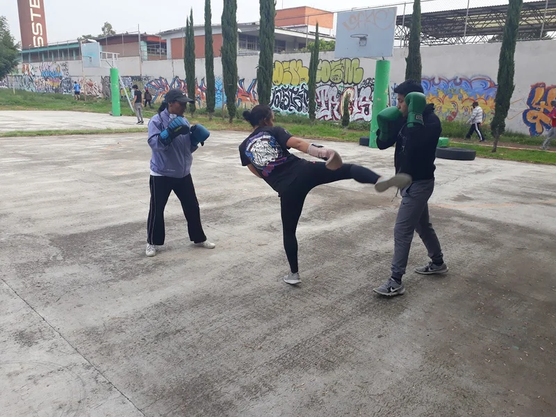 ECAM COBRAS TEAM "CARMEN SERDÁN" (MUAY THAI, KICK BOXING, MMA, DEFENSA PERSONAL Y BOX)