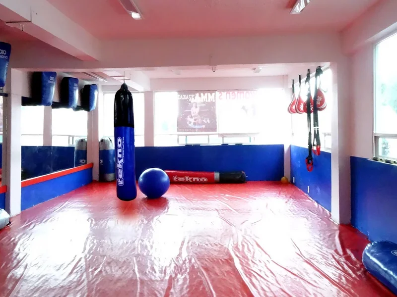 Kickboxing & MMA - Cuauhtémoc